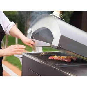 Horno a leÃ±a pizza & cucina simple (FONTANA)